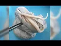 Download Lagu North Korean defector filled with parasites; search for submarine hampered by weather - 11/20/2017