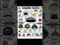 Download Lagu Episode 10 | Whale Shark. OMG... #NATanimals