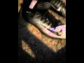 Nike lunarbeast elite td football cleats