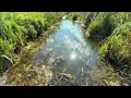 Download Lagu Beaver Dam Removal – Clearing an Overgrown Soviet Drainage Canal!