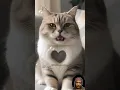 Download Lagu Cat Uiaaa uiaa ui #shorts #catlover #funny