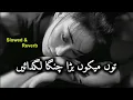 Download Lagu Saraiki Song Tun Meku Bara Changa Lagdaen | Slowed \u0026 Reverb Song 2025