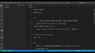 Python 3 Socket Programming to Find IP Address of Website Domain in Terminal