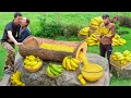 Lagu CEO Harvesting 2000+ Golden Bananas | Ancient Banana Mash Method SHOCKED the Whole Village