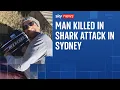 Man killed in shark attack in Australia after screams of don t bite me heard