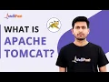 Apache Tomcat What Is Apache Tomcat Apache Tomcat Server Intellipaat