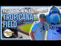 Tropicana Field 2026 Guide Inclusive SkyDeck All The New Food