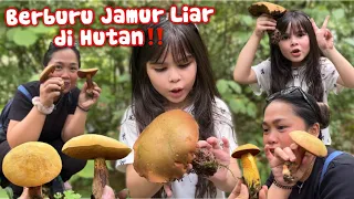 BERBURU JAMUR LIAR DI HUTAN LAGI SETELAH SEKIAN LAMA‼️HUTAN BARU SUPER HOKI‼️