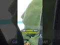 HES NOT REAL flight gets waaaay creepier