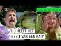 Download Lagu TWEE KEER GEBETEN DOOR EEN SMARAGDHAGEDIS!! | Steken \u0026 Prikken | seizoen 3 #3 | NPO Zapp