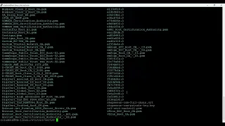 Install certificate in NGINX in a Linux server