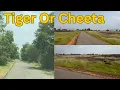 Download Lagu Tiger Or Cheeta Rehne Wala Jagha 🐅 