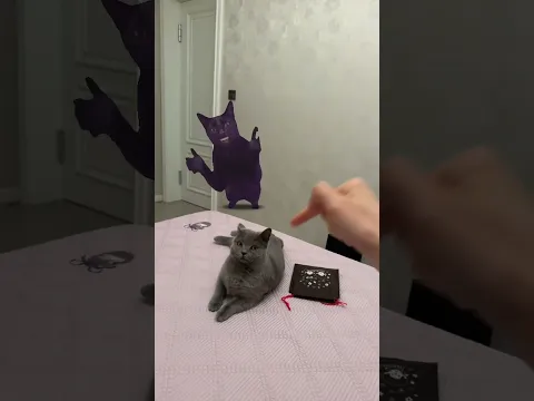 Entre amigos