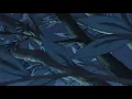 mai - videoclub (slowed + reverb)