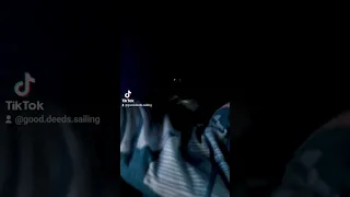 Liveaboard cat! 🐈‍⬛️⛵️ #liveaboard #pets #catlover #sailing #yachtlife #travel #boating #cat #yacht