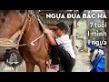 Download Lagu Chú bé Bắc Hà 7 tuổi phi ngựa nước đại