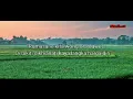 Download Lagu Cover gugur (lirik akustik)