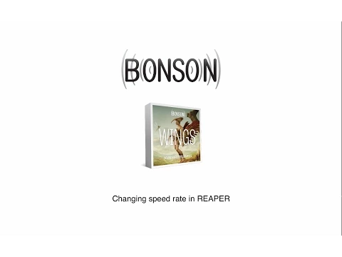 Bonson | Tutorial 01