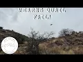 Mearns Quail SHUT US DOWN Toughest Bird to Find in Arizona