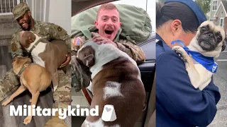 See the heartwarming moment these dogs realize their soldiers are home