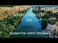 Code360 Coding Ninjas Weekly Contest 201 Problem C Scaled Pair within Window CPP Java Code
