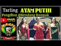 Download Lagu AYAM PUTIH - RAGIL PONGDUT