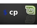 How to copy contents of a folder into another via command line in Linux Mint Ubuntu
