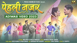  pehli nazar new adivasi full video song pooja mandloi vlog mrprvn adivasisong