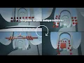 Exploring a Default Map within DynamicTransformToolkit Unreal Engine Plugin