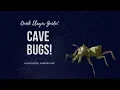 Quick Guide to Cave Bugs - Slayer