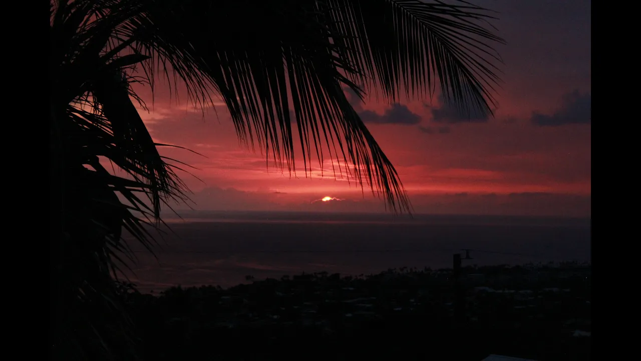Hawaii | Night, Blooming Jasmine