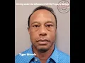 Recent Dui arrest for Palm Beach County for 3-20-26 to 3-29-26