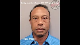 Recent Dui arrest for Palm Beach County for 3-20-26 to 3-29-26