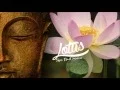 Lotus Nail Spa