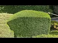 I Spent 3 DAYS Transforming This Completely Overgrown Garden!