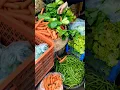 Download Lagu belanja sayuran di pasar tradisional 🥦🥒🥬🥕🌽🌶🍅🍆