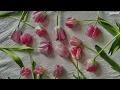 비비 (BIBI) - 밤양갱(Bam Yang Gang) Easy Lyrics