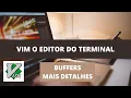Curso de VIM - Gerenciar a lista de buffers e mais detalhes sobre buffers no vim