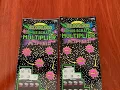 New 2 000 000 Bonus Scratch Multiplier - Michigan Lottery