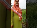 Bumil jalan sore