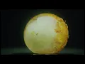 Charles Lloyd & the Marvels -  Anthem (visualizer)