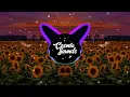 Post Malone - Sunflower Not Your Dope Remix CosmicSounds