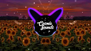 Download Post Malone - Sunflower (Not Your Dope Remix) | CosmicSounds MP3