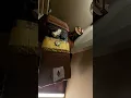 April 14 18 2025 The best full-body massage of my life