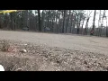 100 Acre Wood Rally 2023 (Lucy Block) Stage 7 [LUCY BLOCK] 2023