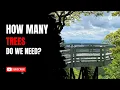 Trees Oxygen How Many Trees Do We Need to Breath
