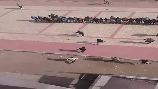 مدرسة السلام المعمارية 3 Mp4  مدرسة السلام المعمارية 3 Mp4