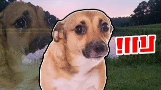 قصة صديقي اللي انسرق مني في وضوح النهار 💔