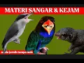 Download Lagu masteran kasar dan tajam versi slow | tengkek buto, bajing kekes dan jinjing petulak