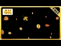 Fall Autumn Leaves falling black screen video